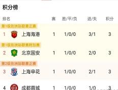 开云官方app入口-南安普顿客场胜利，稳定积分榜中游