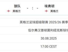 开云体育app-包含狼队客场不敌水晶宫，遭遇两连败的词条