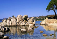 开云体育APP下载-关于欧国联打响收官战，球员斗志昂扬的信息