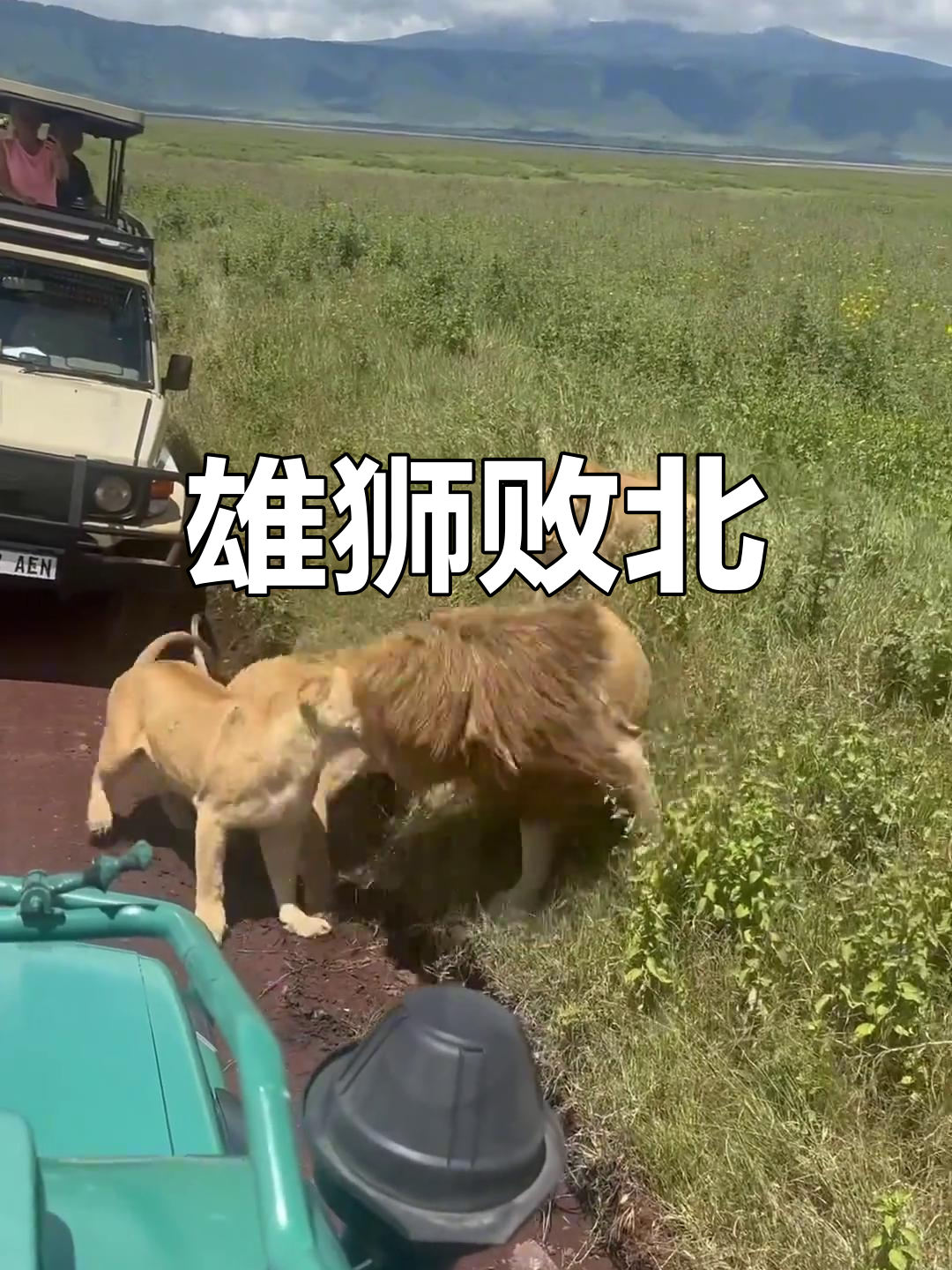 开云体育平台APP-雄狮不敌对手，败北后排名下滑的简单介绍