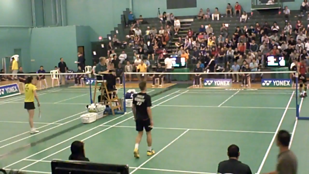 开云体育入口-包含法国羽毛球队完胜英格兰羽毛球队，陶菲克高光表现的词条