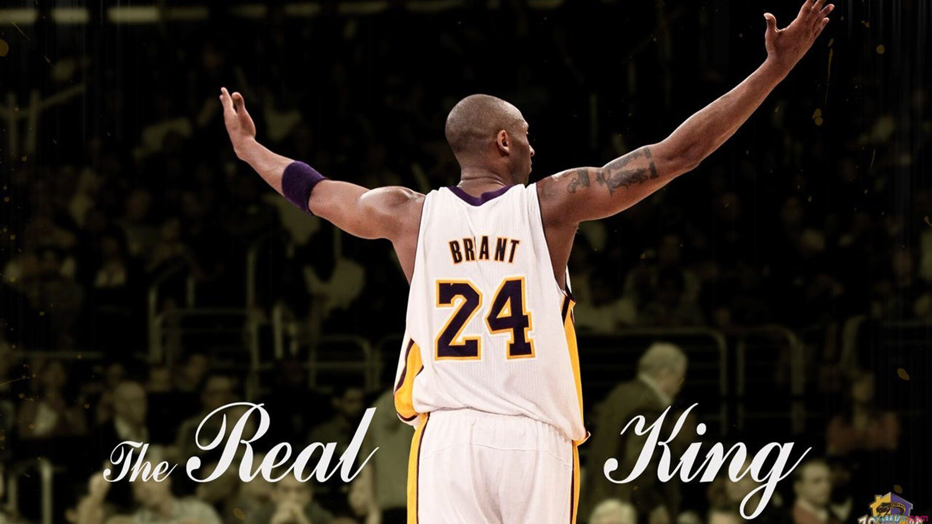 开云下载-德约科维奇带队碾压!蒙特卡洛大师赛如何让联合杯相形见绌?